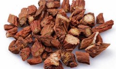 丹參的性能、主治、臨床應(yīng)用及用藥注意事項(xiàng)