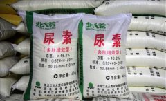 氮肥利用率大約是多少，氮肥是尿素肥嗎？