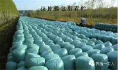 青貯飼料的調(diào)制方法、技術(shù)要點(diǎn)與注意事項(xiàng)