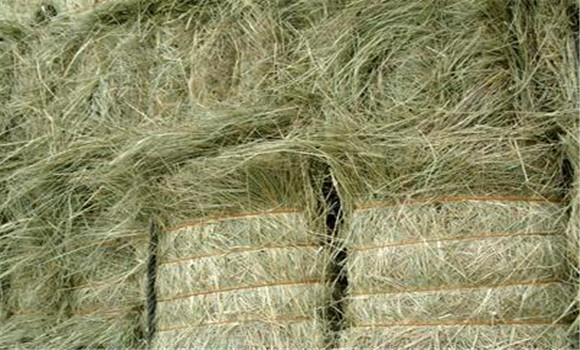 青干草的質(zhì)量評(píng)定