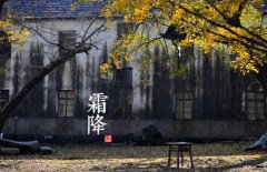 寒露是什么意思，寒露的氣候特征有哪些？