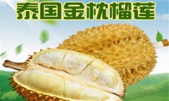 榴蓮品種介紹 常見(jiàn)的榴蓮品種有哪些？