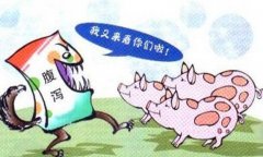豬流行性腹瀉怎么治療、預(yù)防與防治要點(diǎn)有哪些