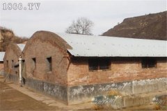 麝鼠圈舍建筑方法與要求有哪些？