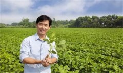 新型農(nóng)民是指什么農(nóng)民，其具備哪三個特征
