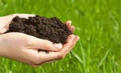 生物有機(jī)肥的功效與作用有哪些？