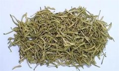 如何科學(xué)飲用金銀花茶？需注意哪些事項？