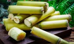 如何選購(gòu)、儲(chǔ)存甘蔗？食用甘蔗應(yīng)注意事項(xiàng)